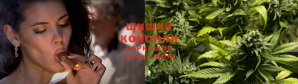 СК Абинск