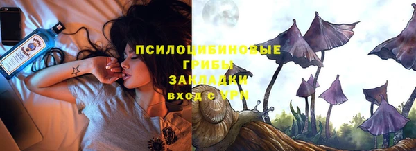 прущие грибы Алексеевка