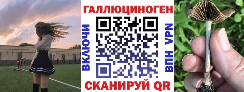 Галлюциногенные грибы Psilocybine cubensis цены наркотик Ялуторовск